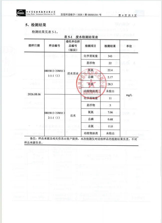 临江村污水站检测报告数据页