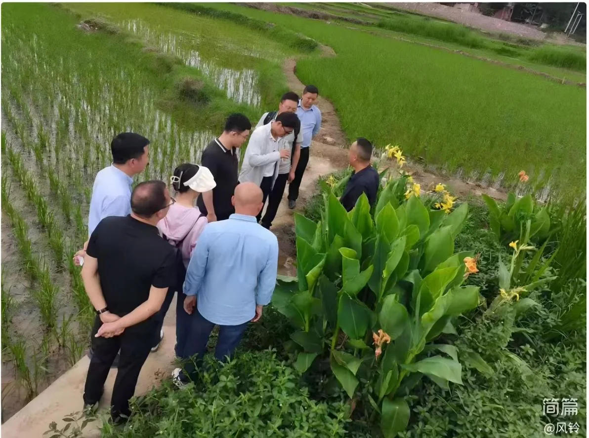 专家组查看临江村污水站现场