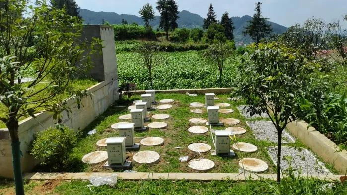 污水站生态湿地